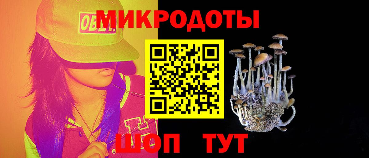 Галлюциногенные грибы мицелий Малоярославец