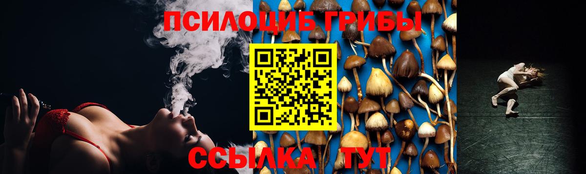 Малоярославец  Галлюциногенные грибы Psilocybe  Вход с VPN 